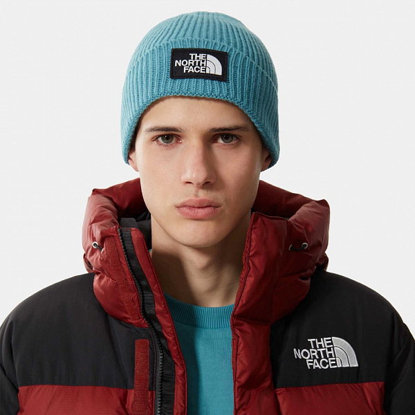 Шапка THE NORTH FACE TNF LOGO BOX CUF BNE синий/голубой
