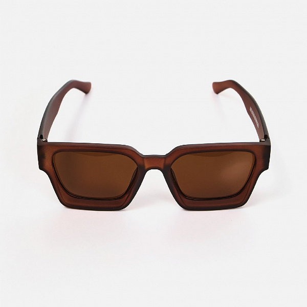 Очки солнцезащитные ANTEATER President-Brown