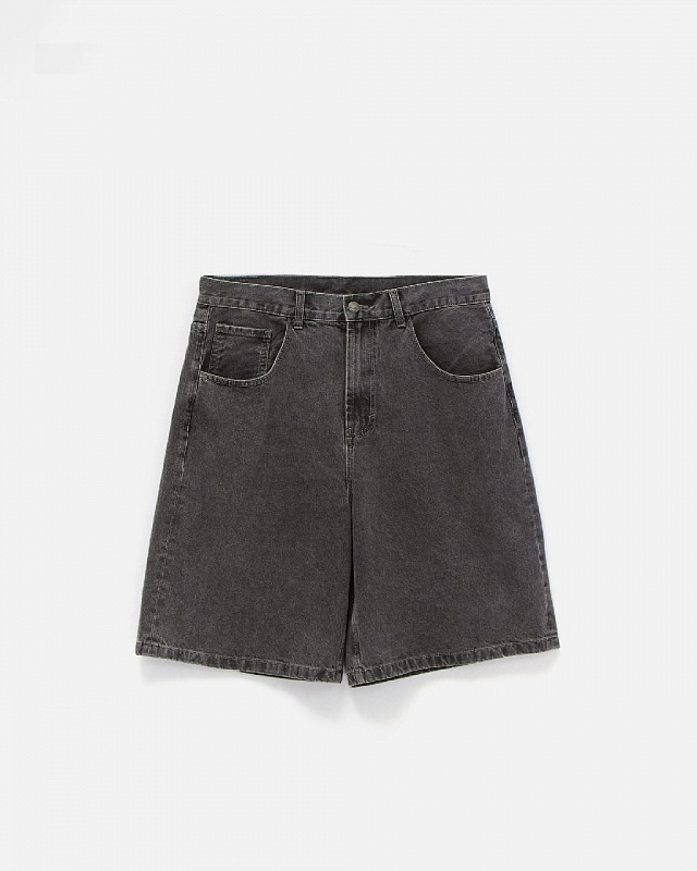 Шорты ANTEATER BaggyShorts-Grey