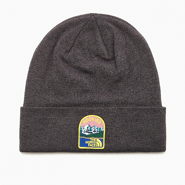 Шапка THE NORTH FACE EMB EARTHSCPE BEANIE серый