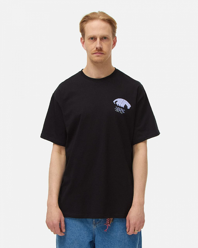 Футболка ANTEATER Tee 396