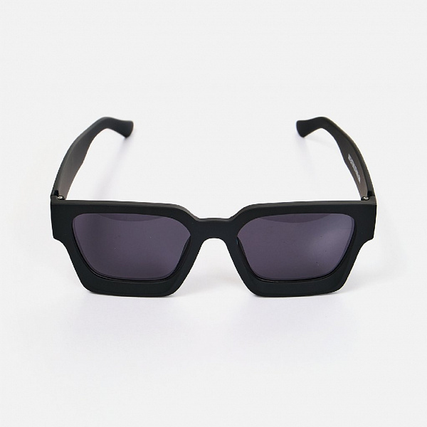 Очки солнцезащитные ANTEATER President-Black