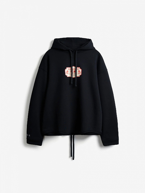 Худи RICE HOODIE TWIN LION SECURITY