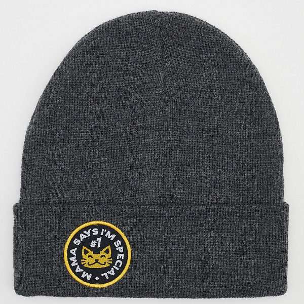 Шапка TRAILHEAD PTH MAMA Темно-серый