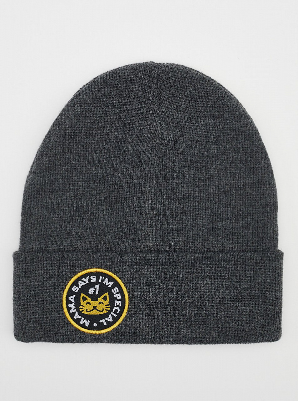 Шапка TRAILHEAD PTH MAMA Темно-серый