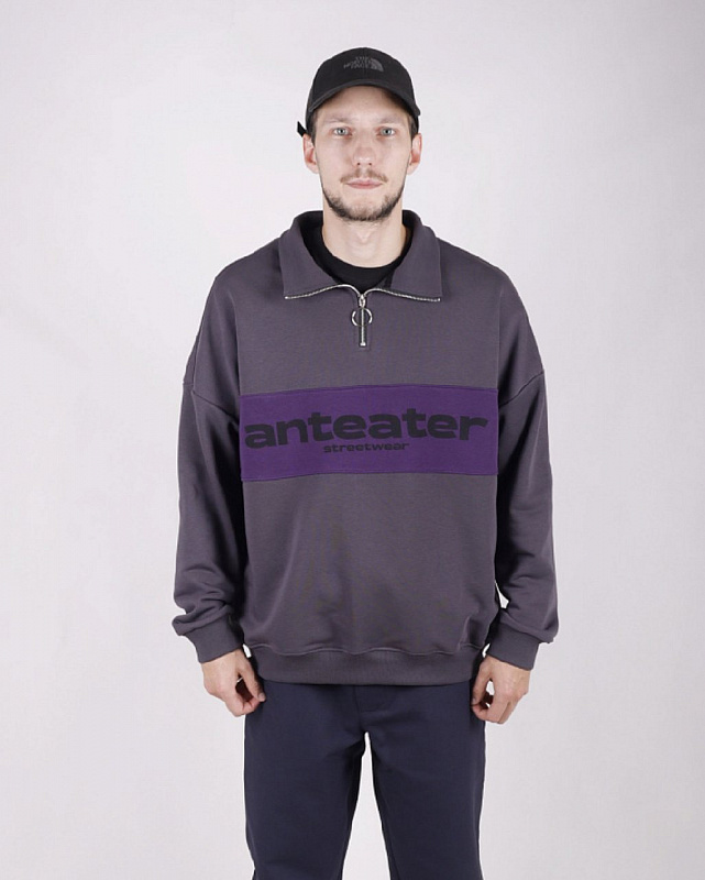 Толстовка ANTEATER zip-grey