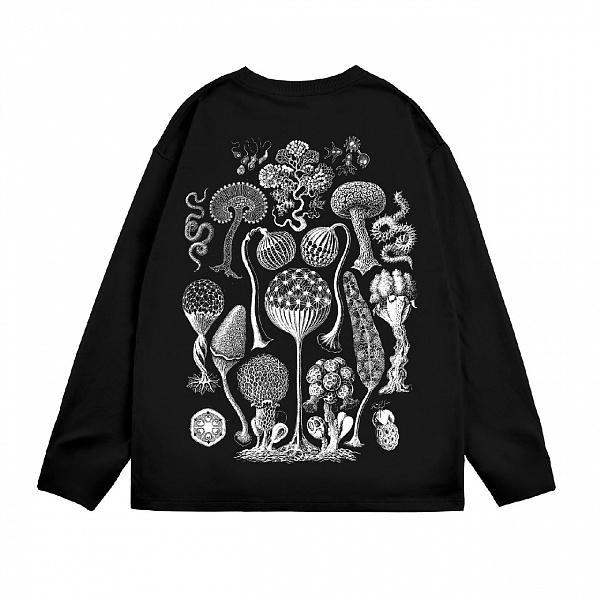Лонгслив ARTEFACT HIDDEN Fungus Черный