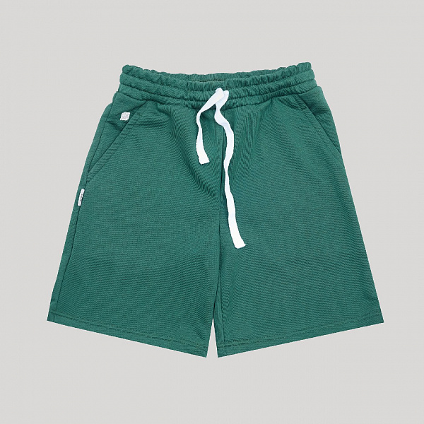 Шорты ONE TWO Wide Shorts LOGO Ponderosa Pine