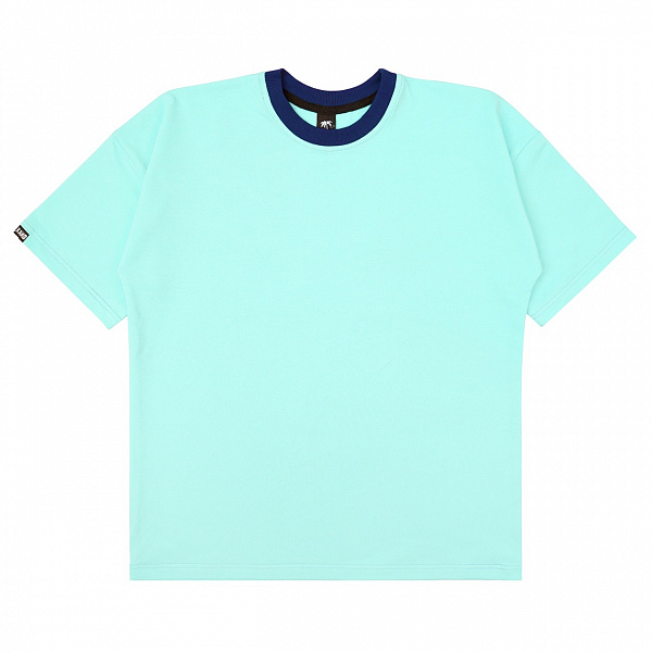 Футболка STEAL CHILL "База" голубой