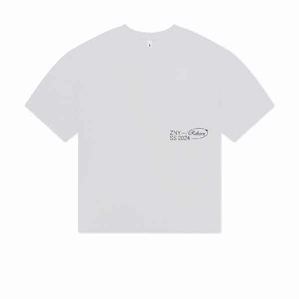 Футболка ZNY REBORN SLEEVE GREY