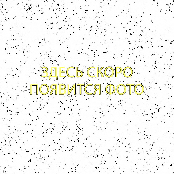 Брюки RITMIKA Solid Baza Pants серые