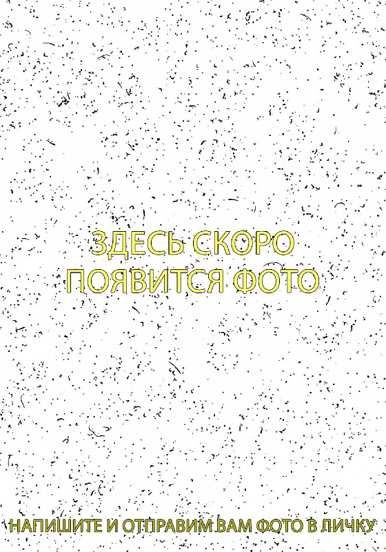 Брюки RITMIKA Solid Baza Pants серые